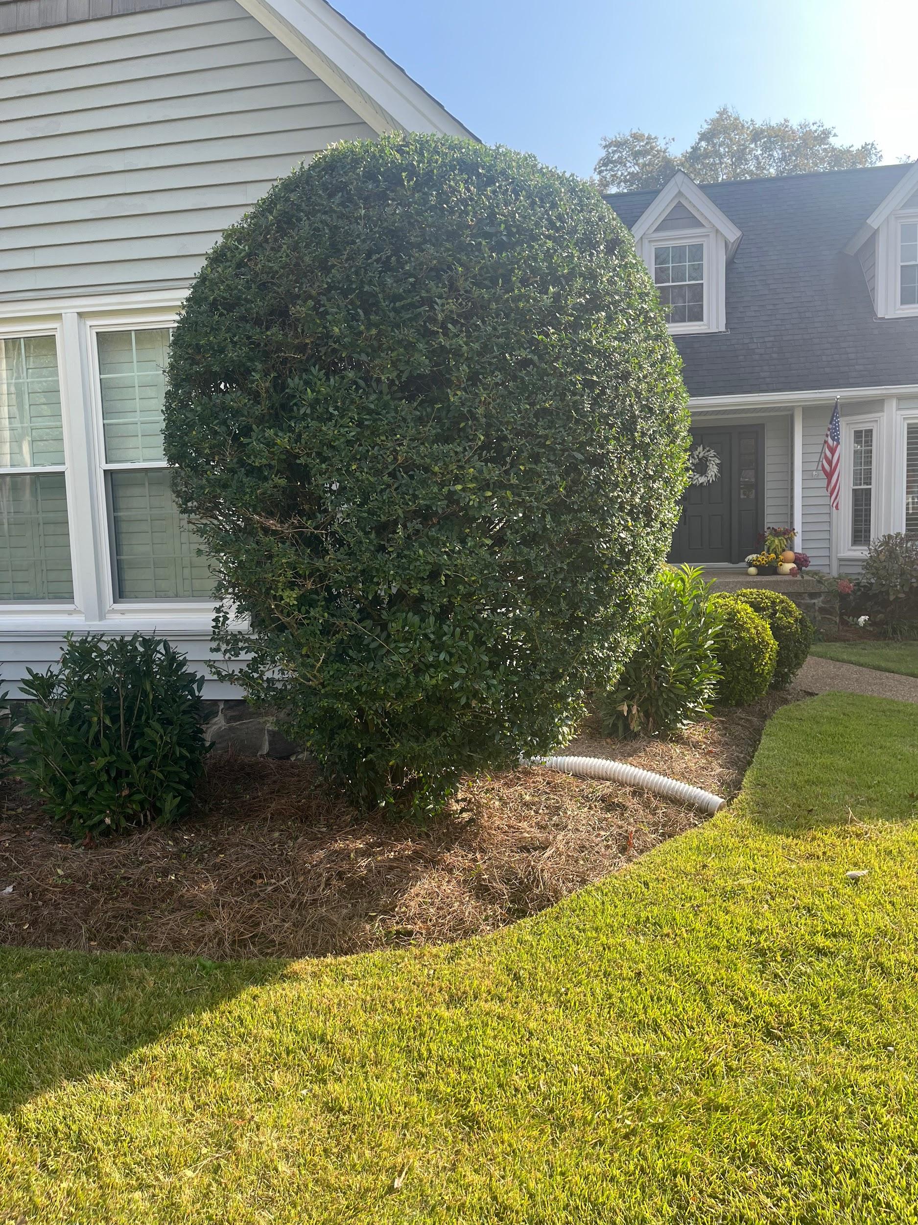 Jimpar Lawncare past project 7