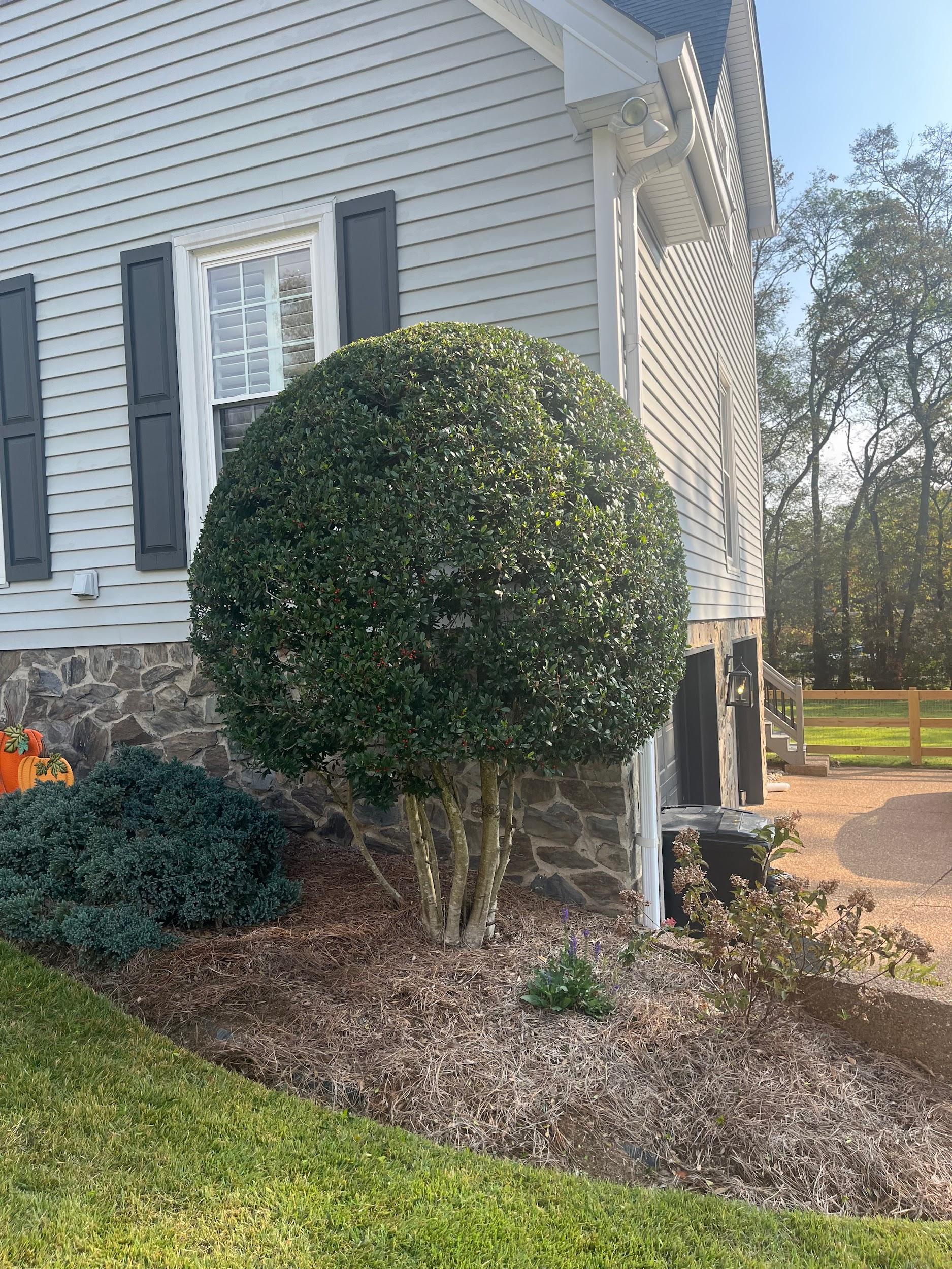 Jimpar Lawncare past project 4