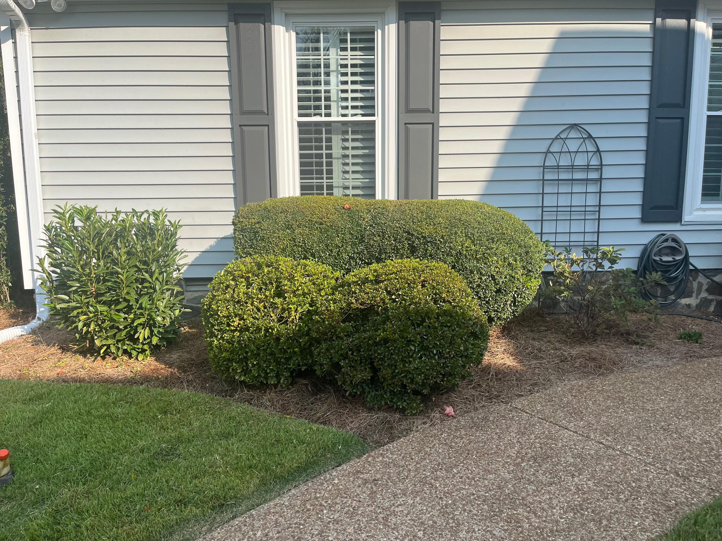 Jimpar Lawncare past project 9