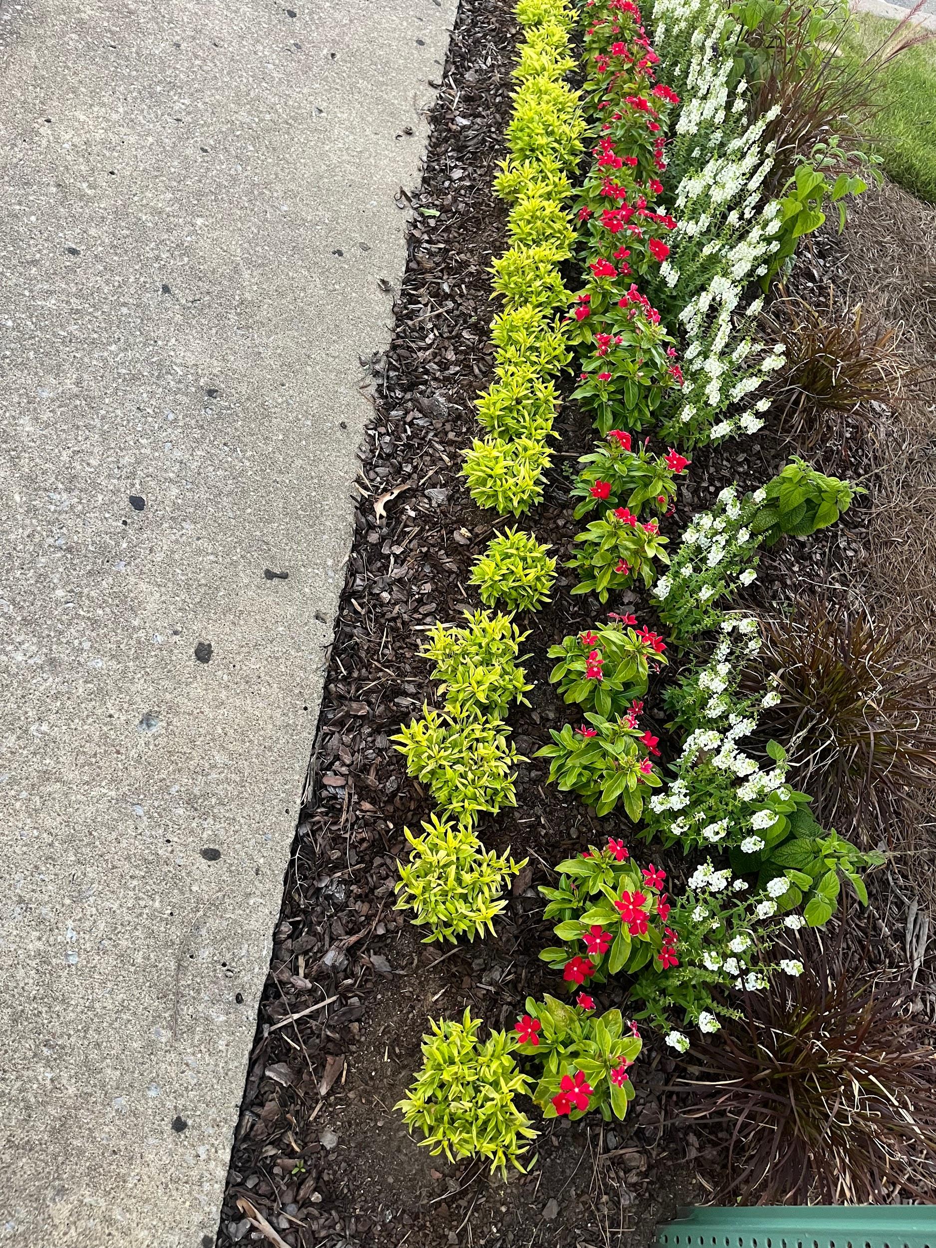 Jimpar Lawncare past project 6